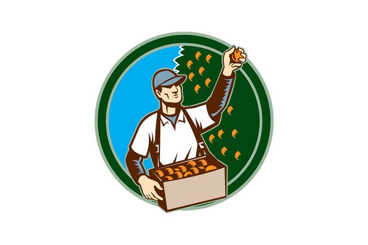 Fruit Picker Worker Picking Plum Circle example image 1