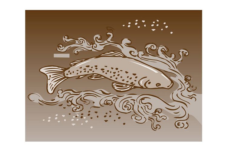 speckled trout swimming underwater example image 1