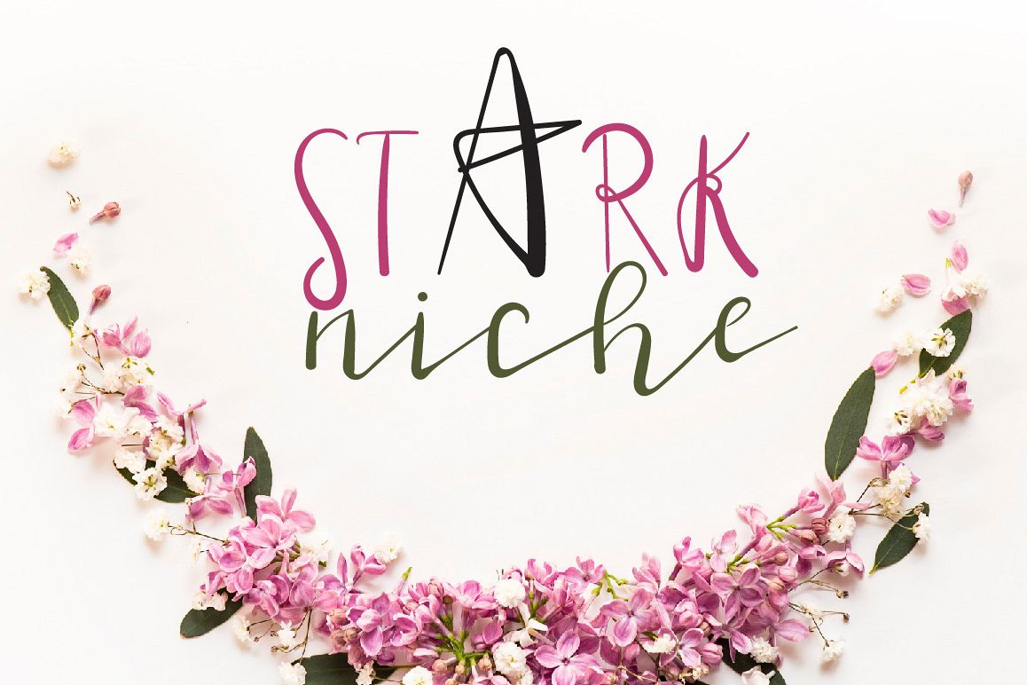 Stark Niche Script Font example image 1