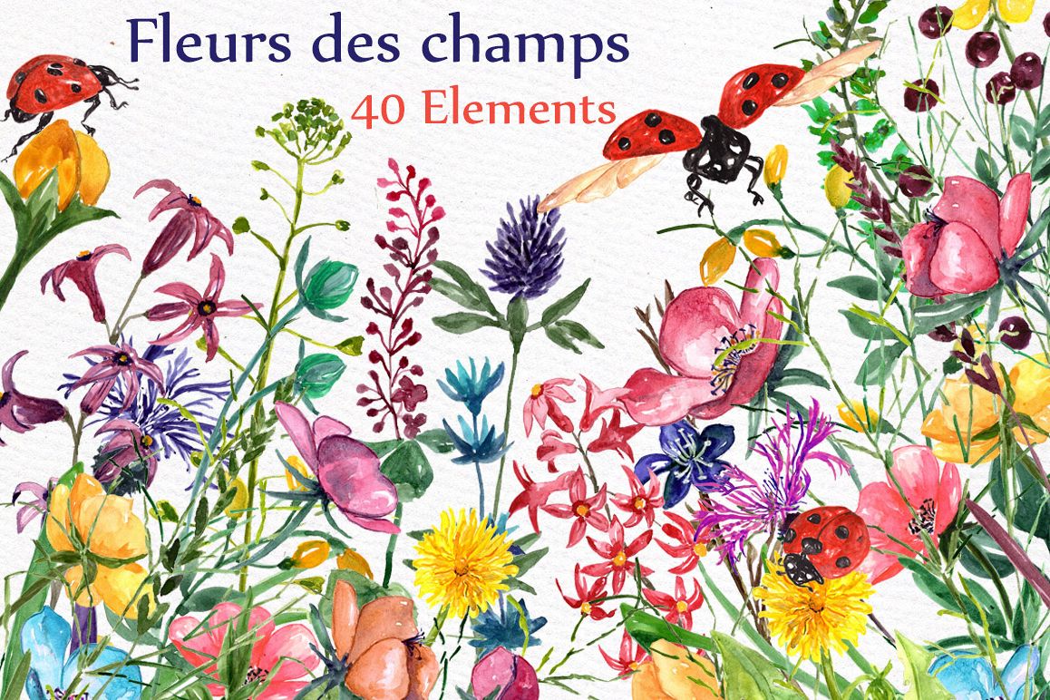 Watercolor meadow flowers clipart example image 1