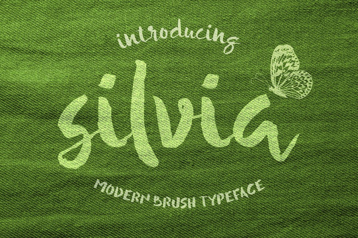 Silvia example image 1