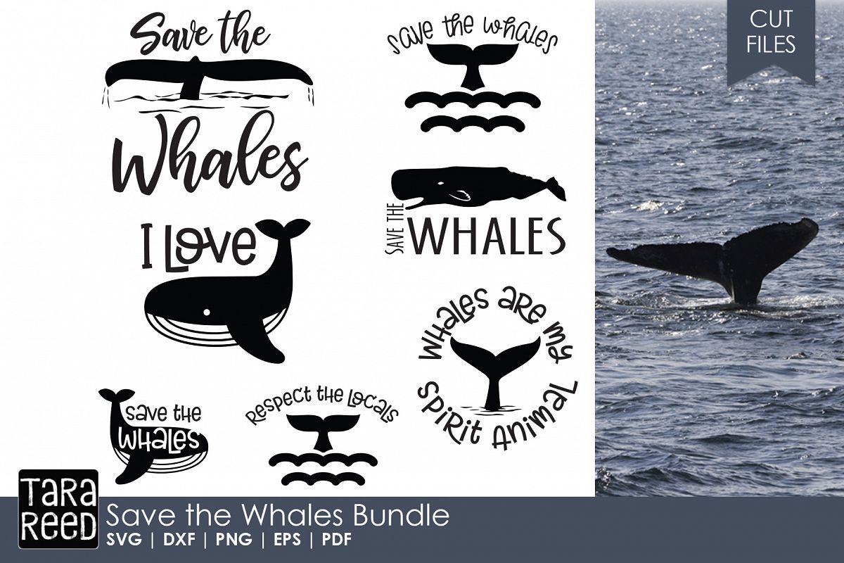 Save the Whales - Whale SVG and Cut Files for Crafters (97283) | Cut ...