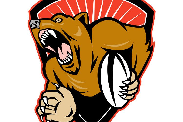 grizzly bear rugby player fending with ball shield example image 1