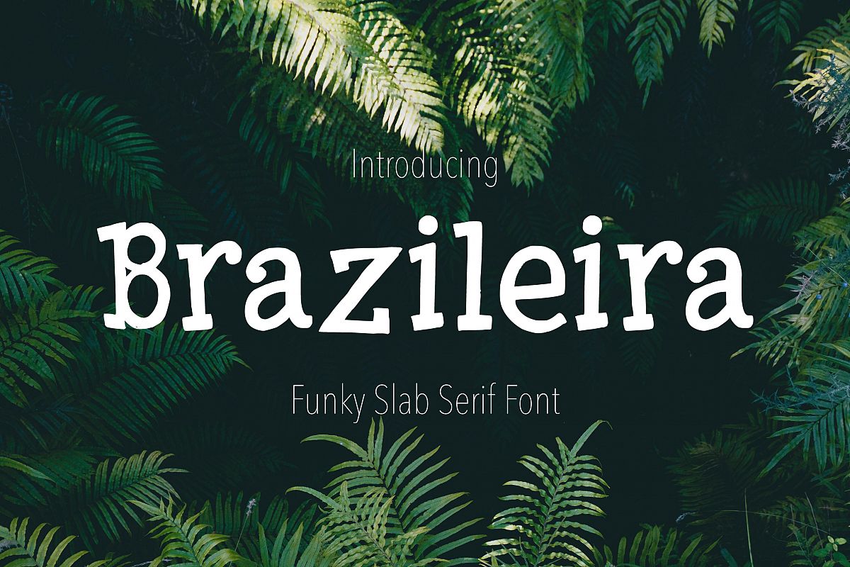 Brazileira - Slab Serif Font example image 1