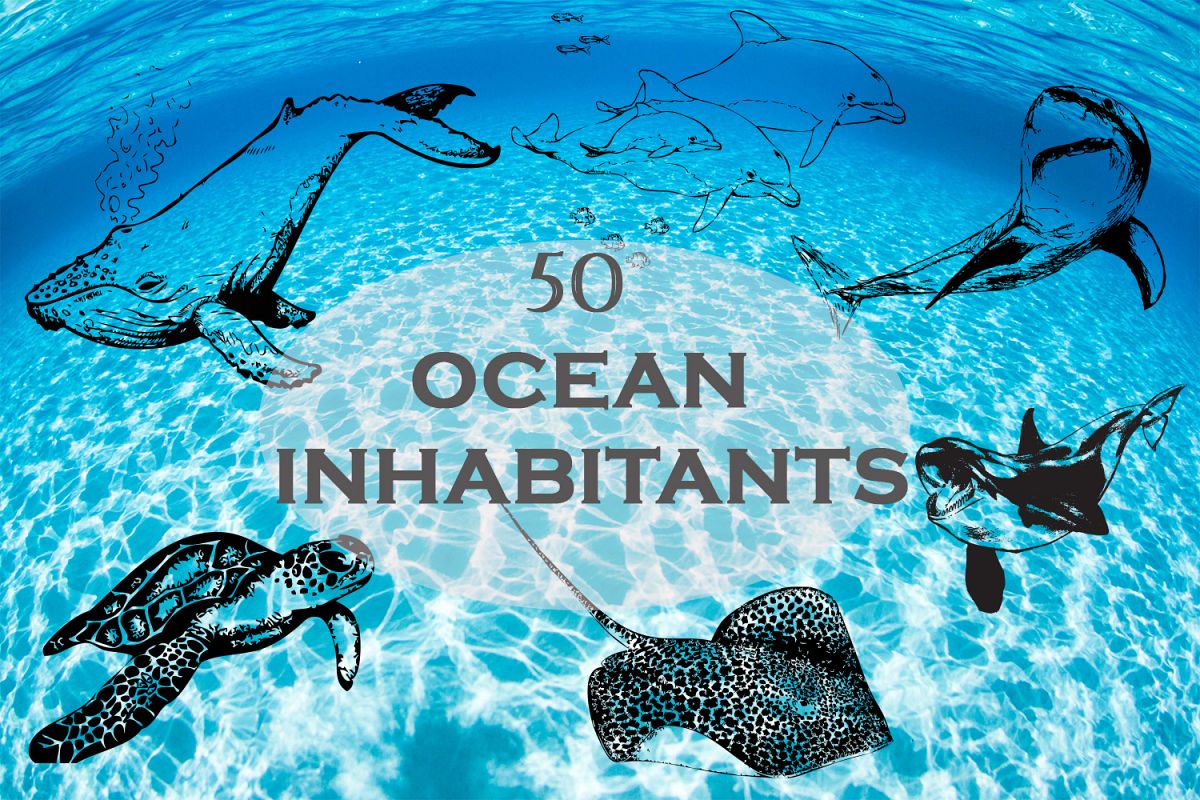 Ocean inhabitants set. Hand drawn illustration collection. example image 1