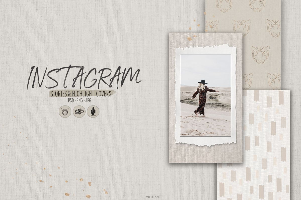 Instagram Stories & Icons example image 1