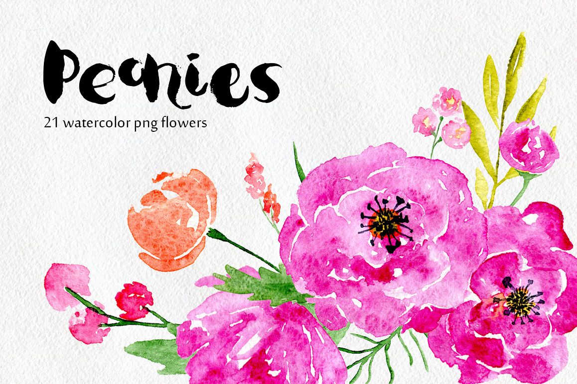 Watercolor flowers peony, floral set example image 1