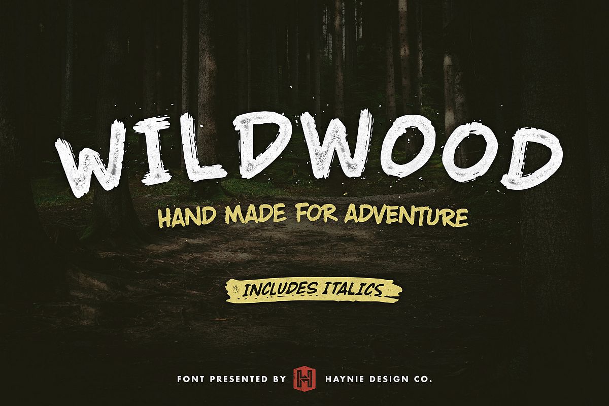 Wildwood Dry Brush Font example image 1
