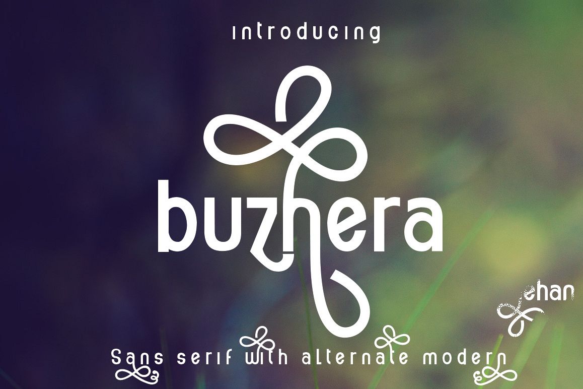 buzhera example image 1