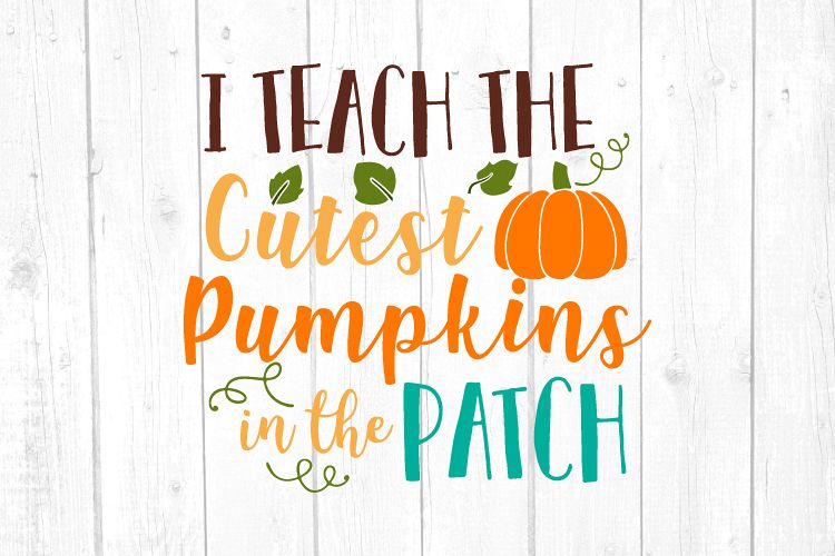 I Teach The Cutest Pumpkins In The Patch Svg Dxf Png Eps 439394 Svgs Design Bundles