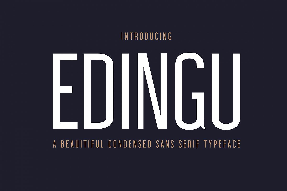 Edingu Sans Serif Font Family example image 1