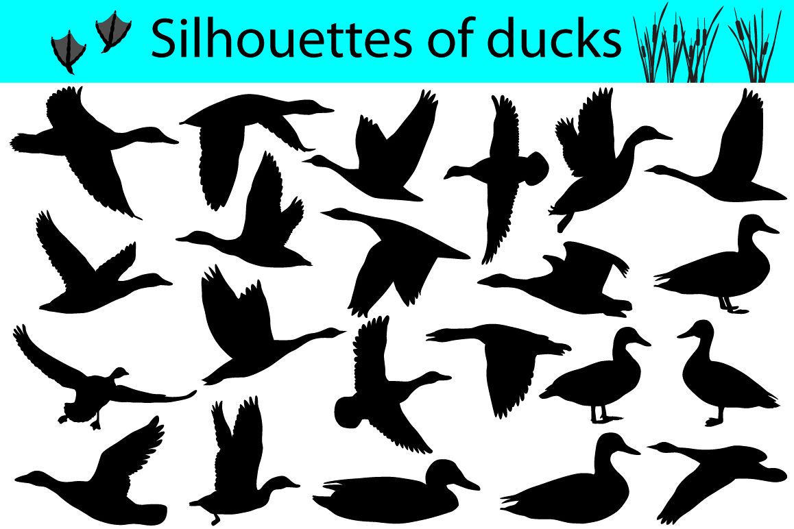 Silhouettes of ducks example image 1