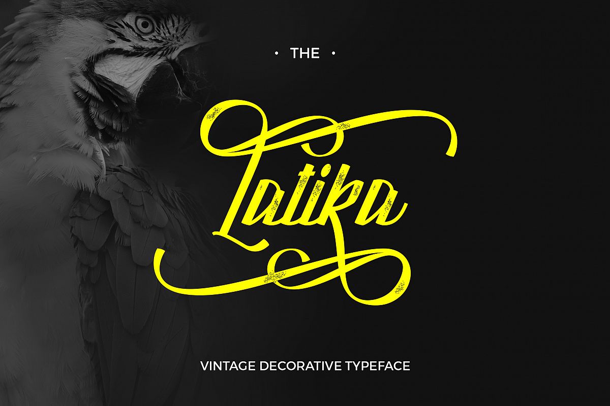 Latika example image 1