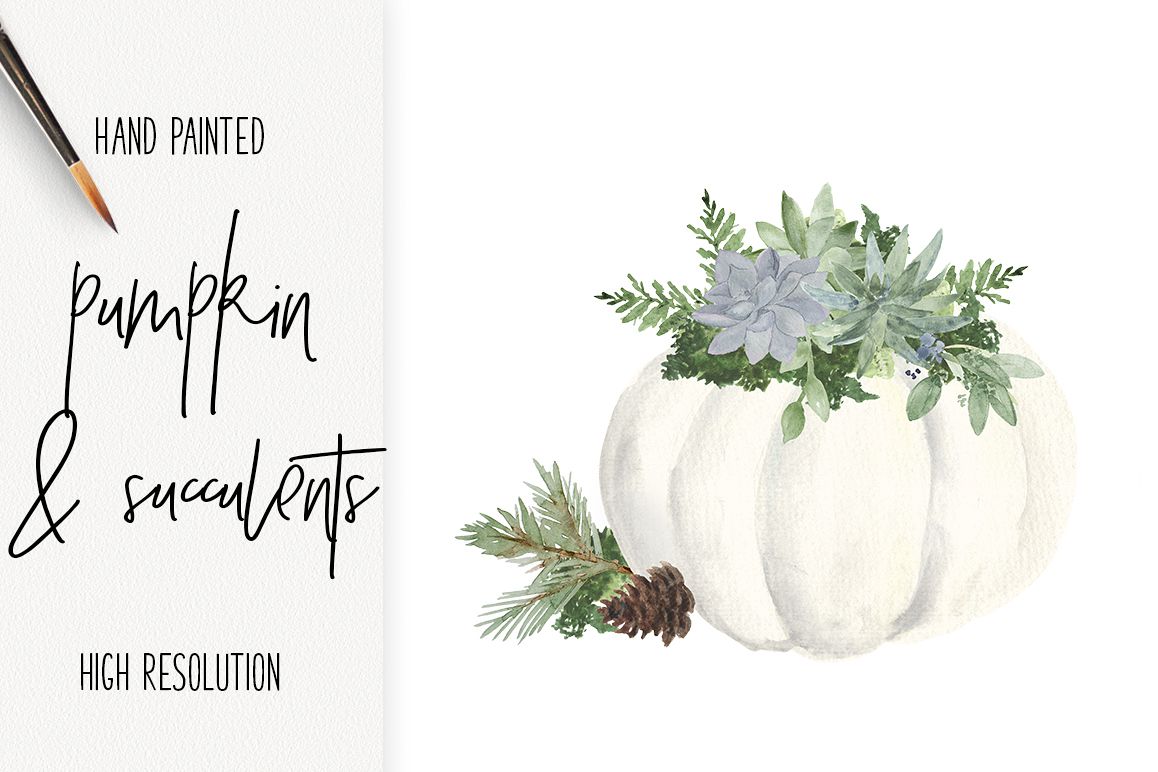 White Pumpkin & Succulent Fall arrangements Clip Art PNG example image 1