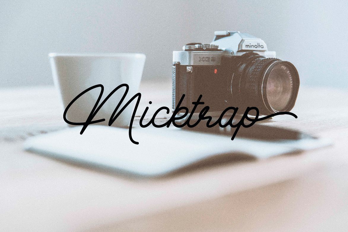 Micktrap example image 1
