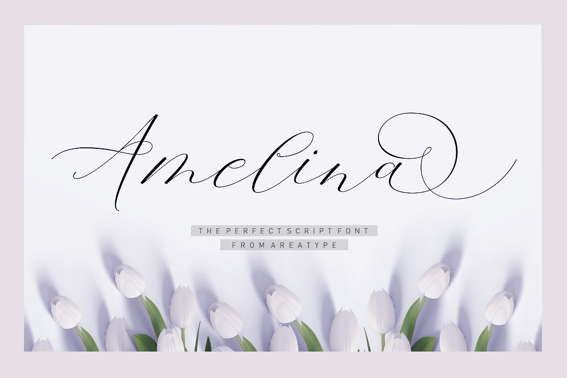 Amelina Script example image 1