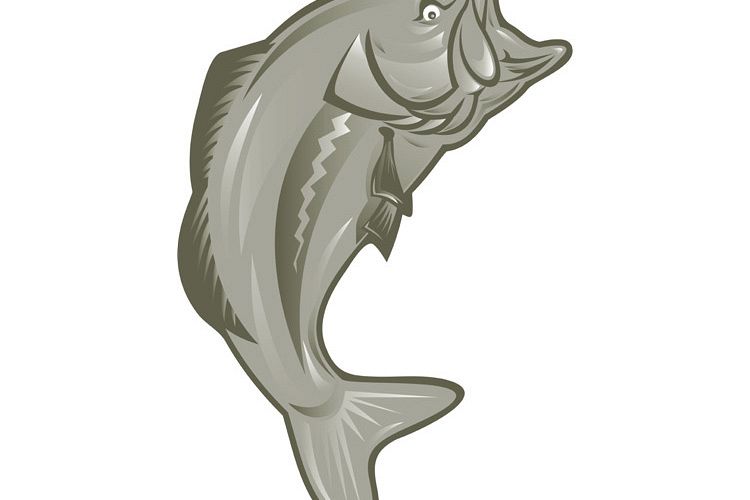 largemouth bass jumping example image 1