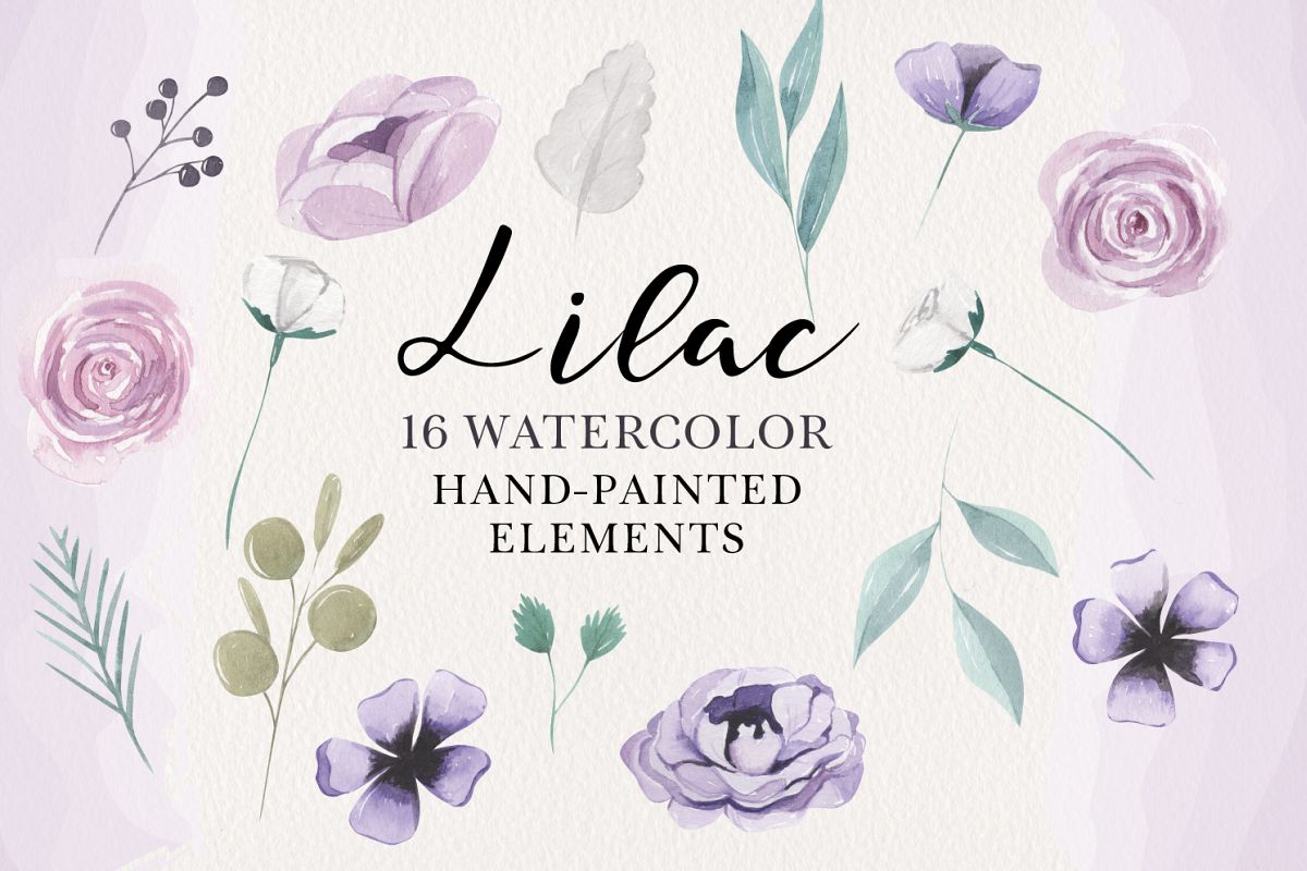 Lilacs 16 Watercolor Elements Florals Berries Flowers Purple example image 1