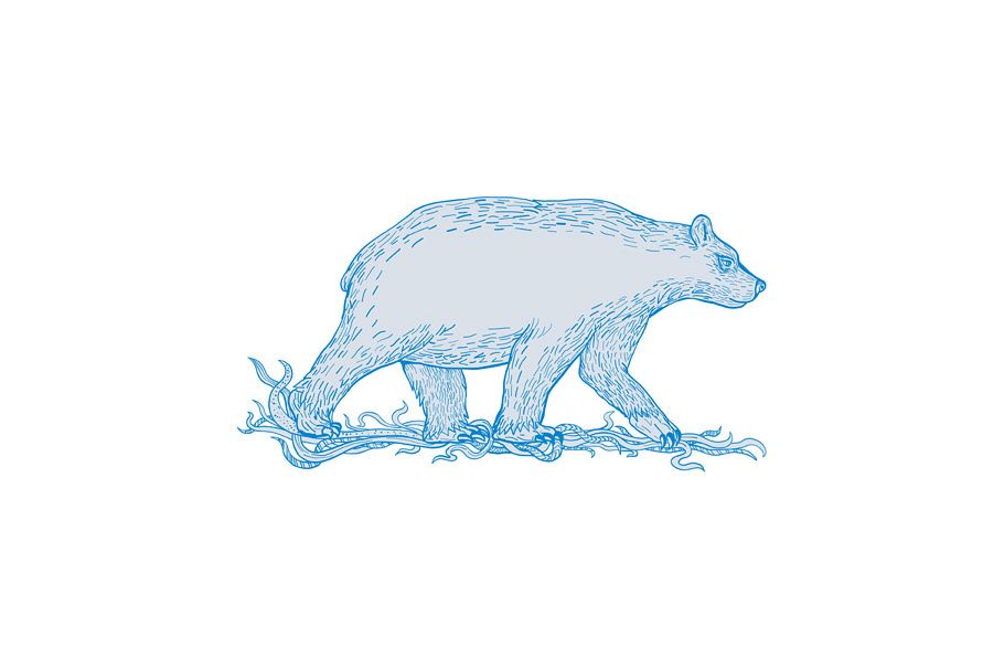 Polar Bear Walking Side Drawing example image 1