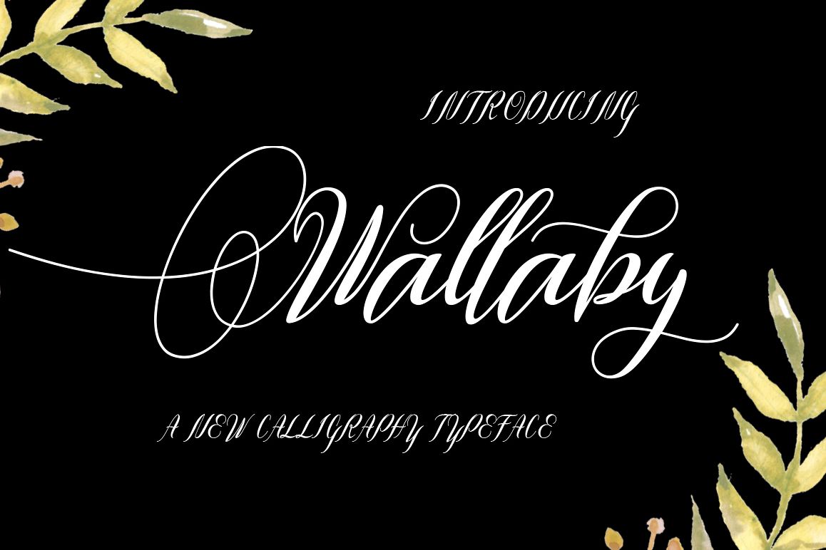 Wallaby example image 1