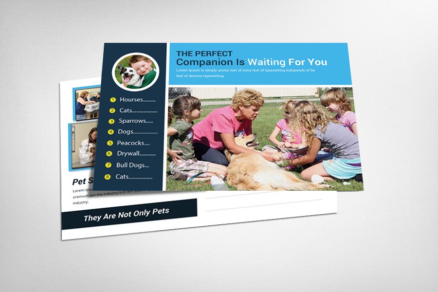 Pet Clinic & Shop Postcard Template example image 1