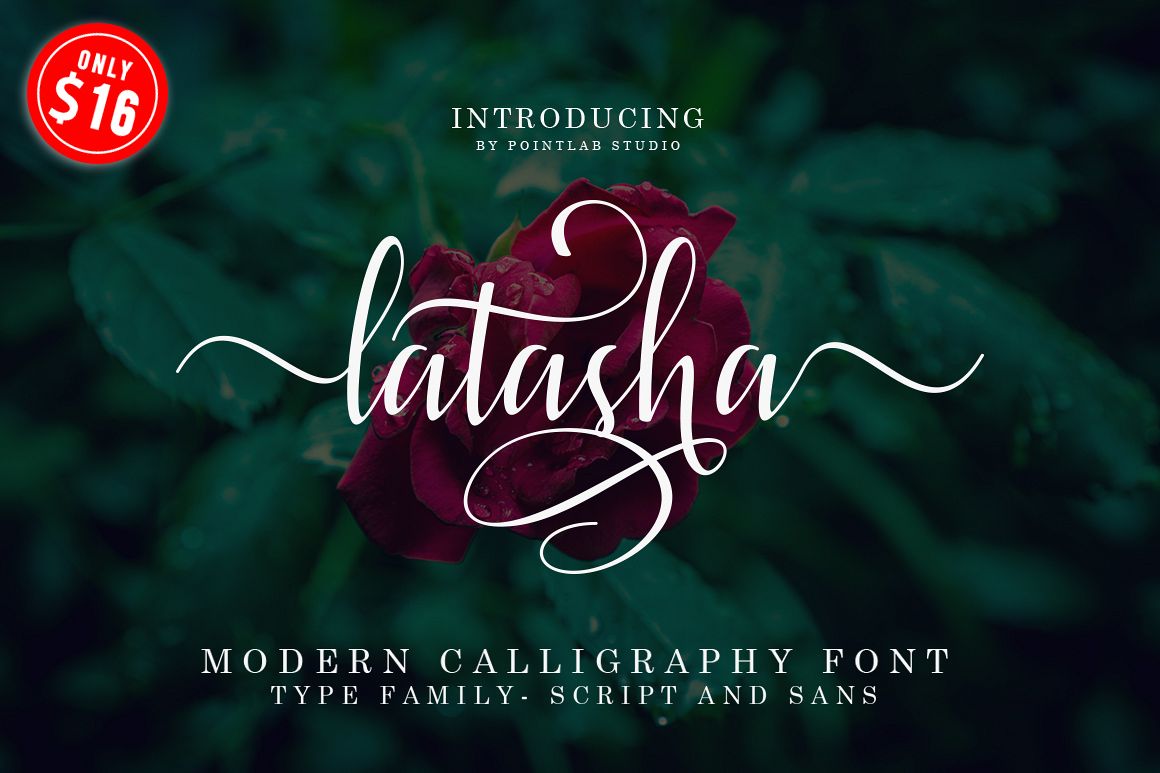 Latasha Font Family - 6 Font example image 1