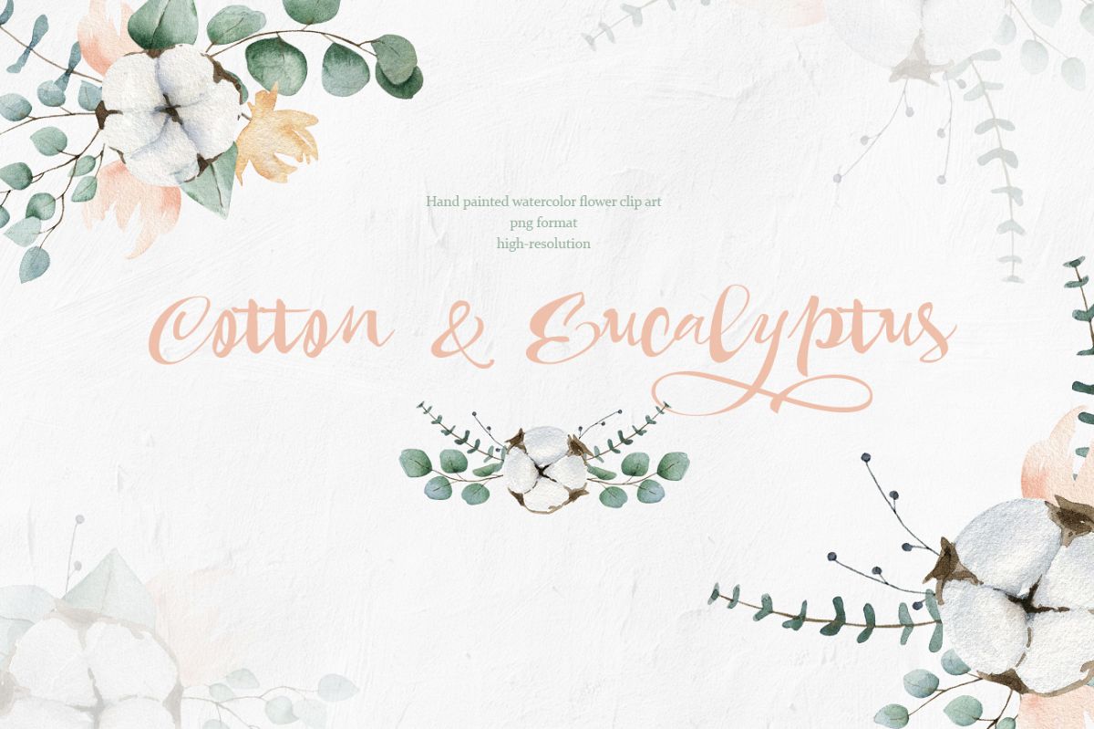 Cotton and Eucalyptus watercolor spring clipart example image 1