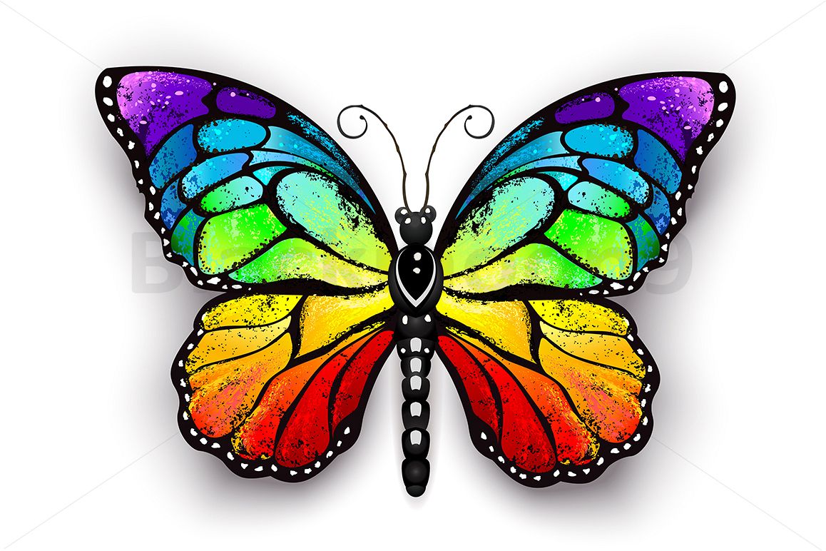 Rainbow Monarch Butterfly (30873) Illustrations Design Bundles