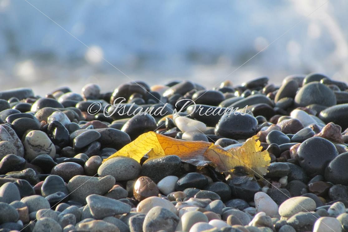 Beach Bundle example image 1