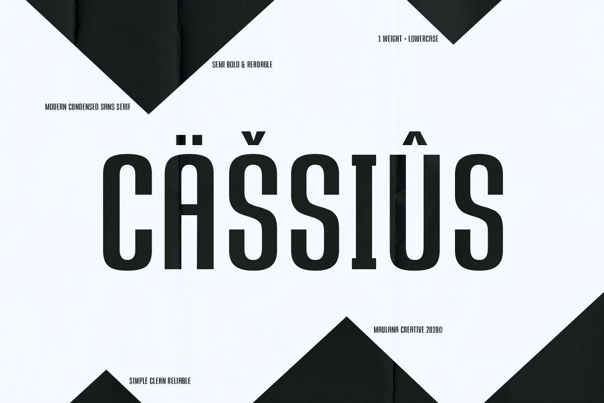 CASSIUS - Sans Font example image 1