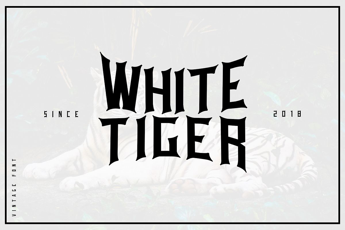 White tiger example image 1