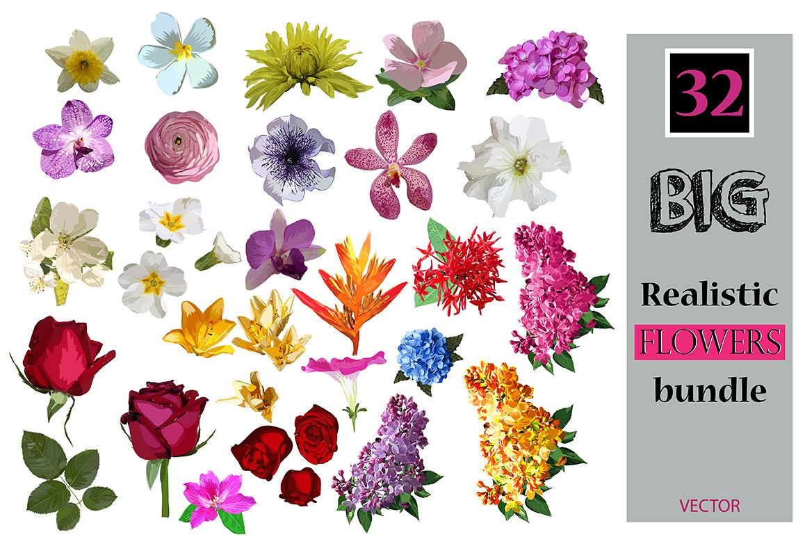 32 Realistic flowers bundle. example image 1
