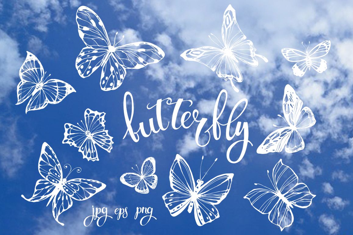 Butterflies example image 1