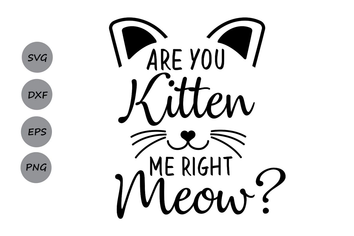 Are you kitten me right meow? SVG, cat svg, kitten svg, Are you kitten ...