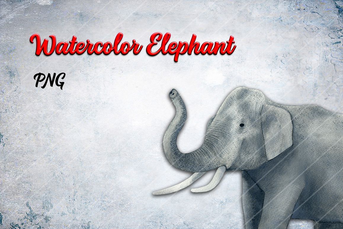 Watercolor Elephant PNG example image 1