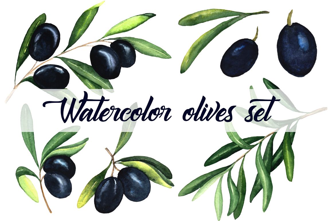 Watercolor olives set example image 1