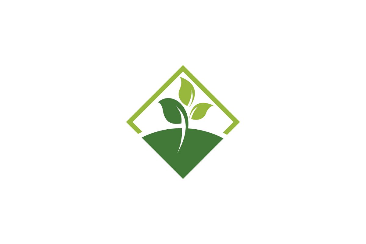 Square Green Leaf Logo