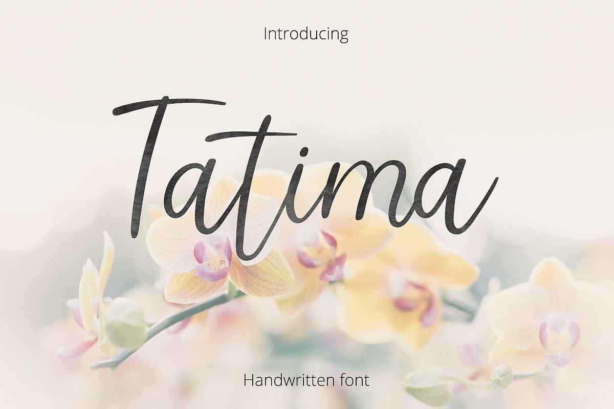 Tatima. Handwritten font. example image 1