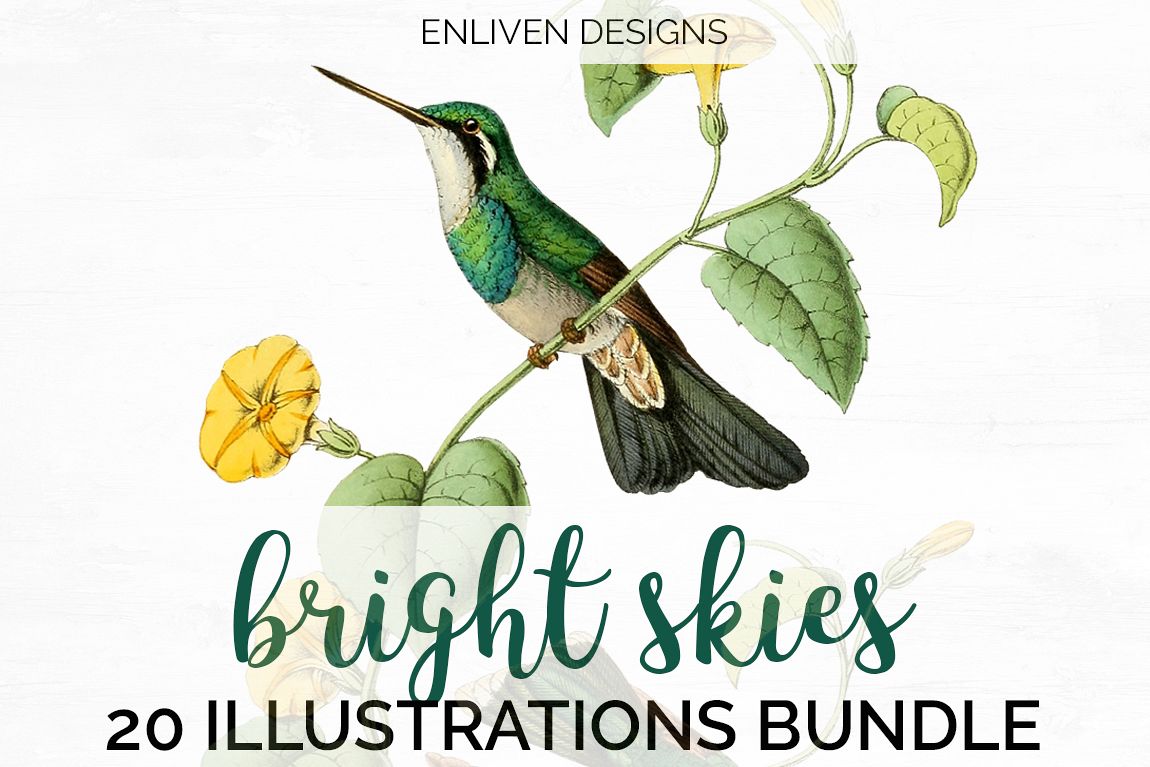 Hummingbird Bundle - Volume One - 20 Count example image 1