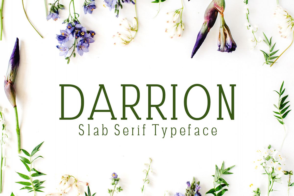 Darrion Slab Serif Typeface example image 1