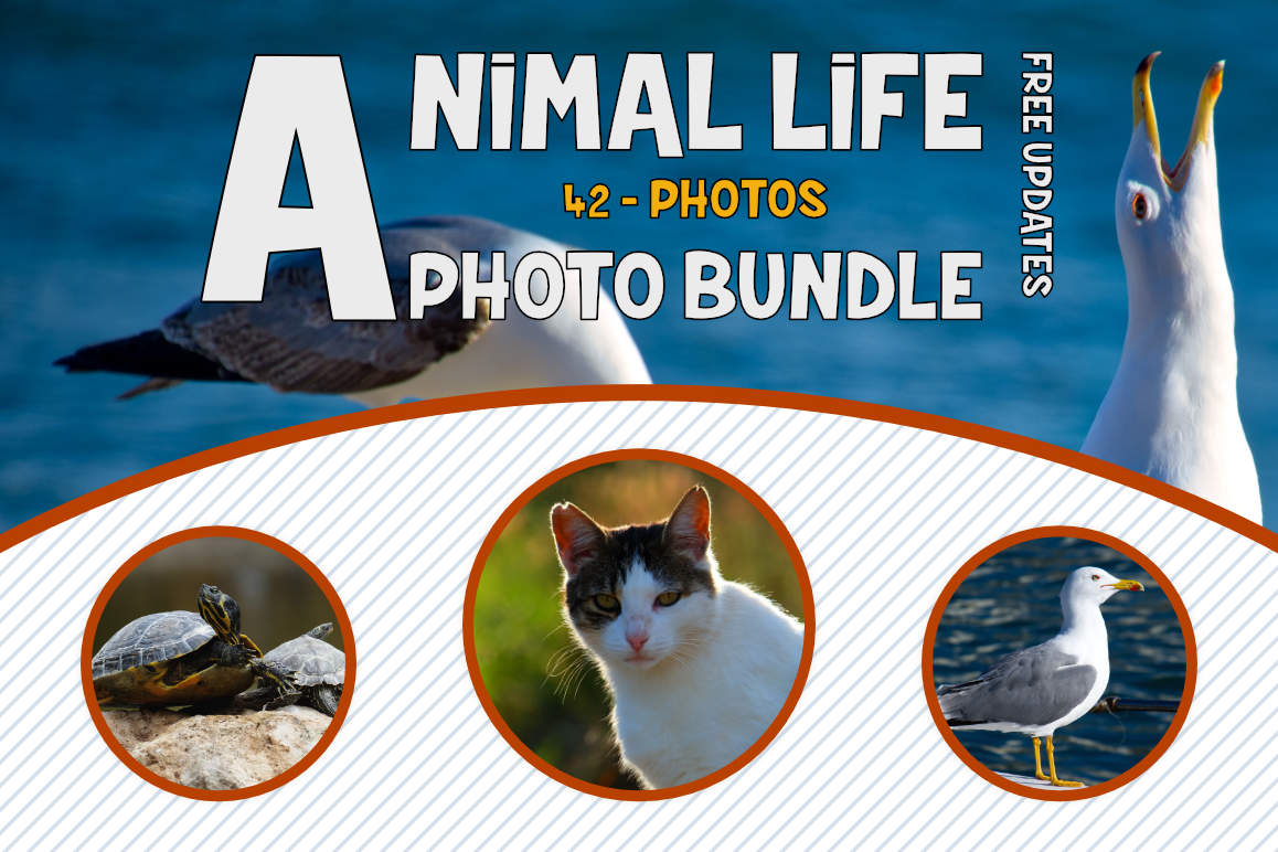 Animals Photo Bundle example image 1