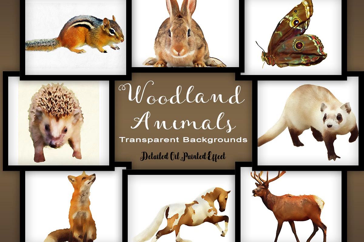 Woodland Animal Set V2 example image 1