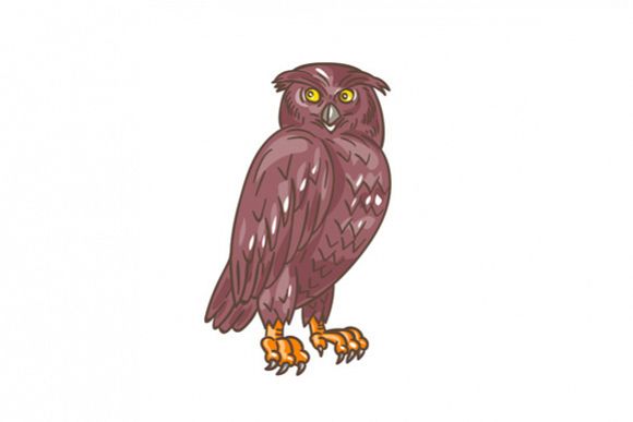 Owl Observing Looking Drawing example image 1