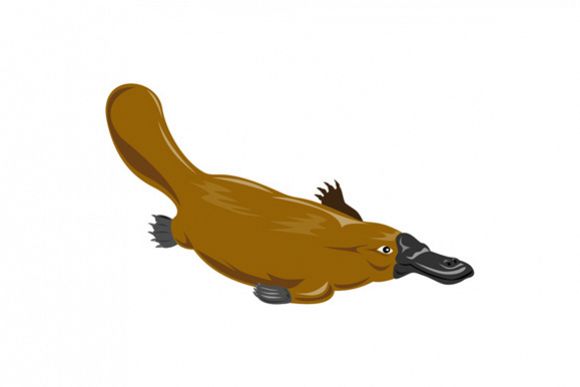 Platypus Diving example image 1
