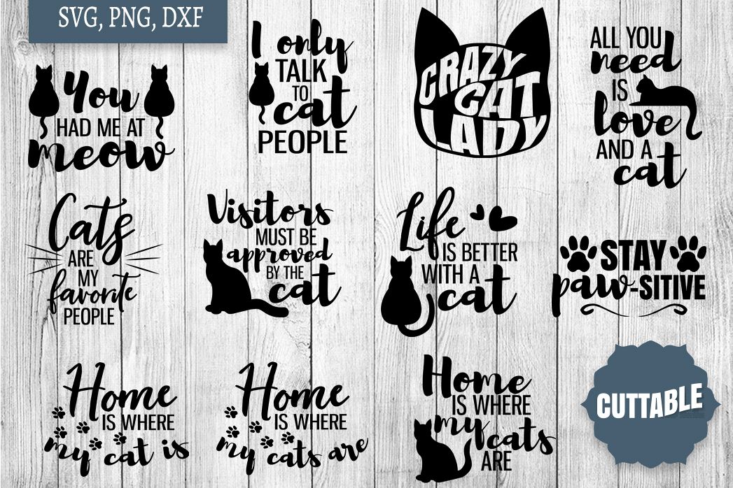 Cat SVG Bundle, Cat Lover Cut Files, Cat SVG quotes example image 1