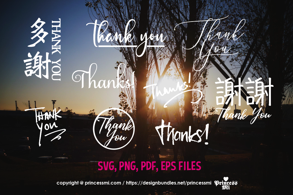 Photo Overlays , thank you text, chinese / svg, eps, png example image 1