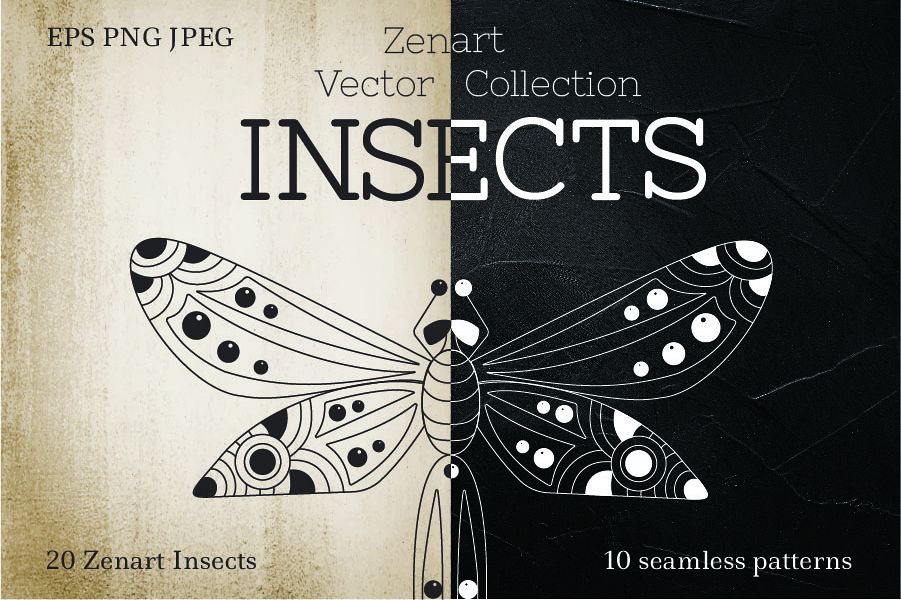 Zenart Vector Insects Collection example image 1