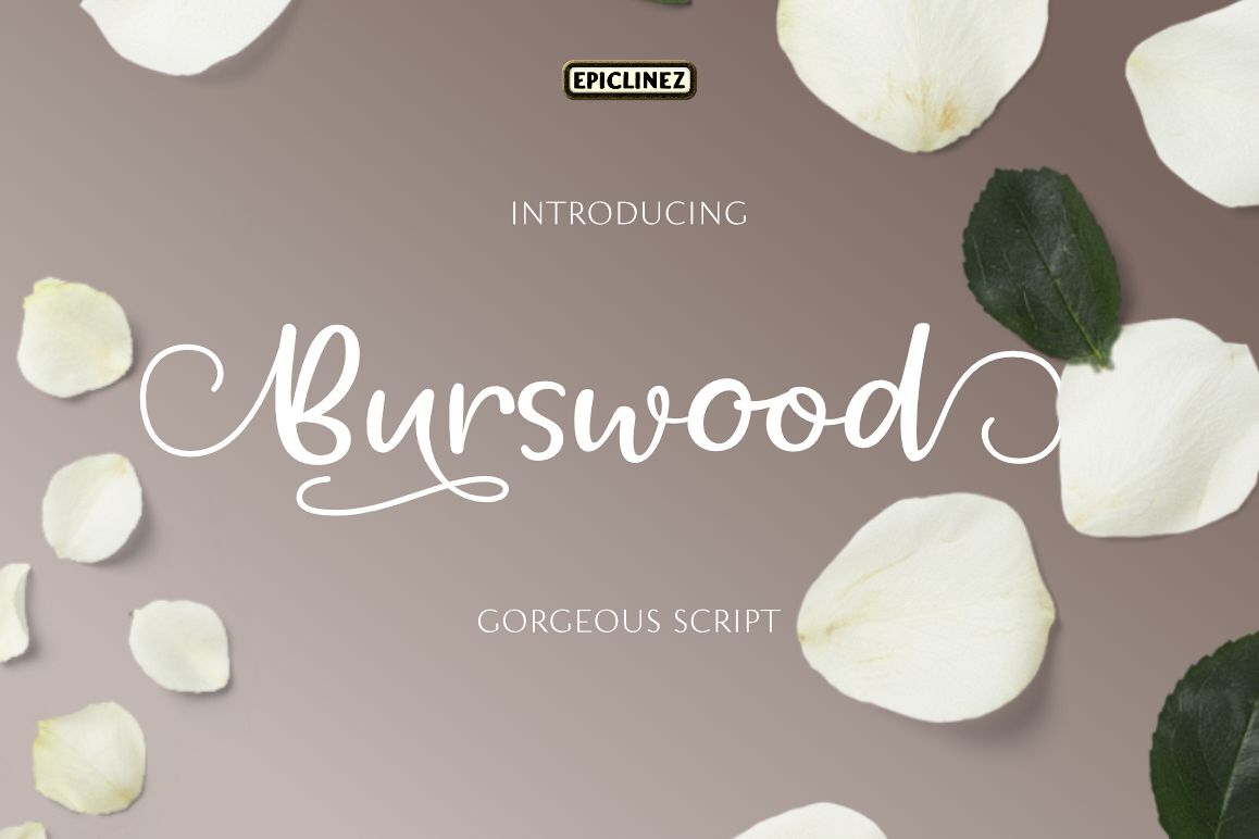 Burswood - Gorgeous Script example image 1