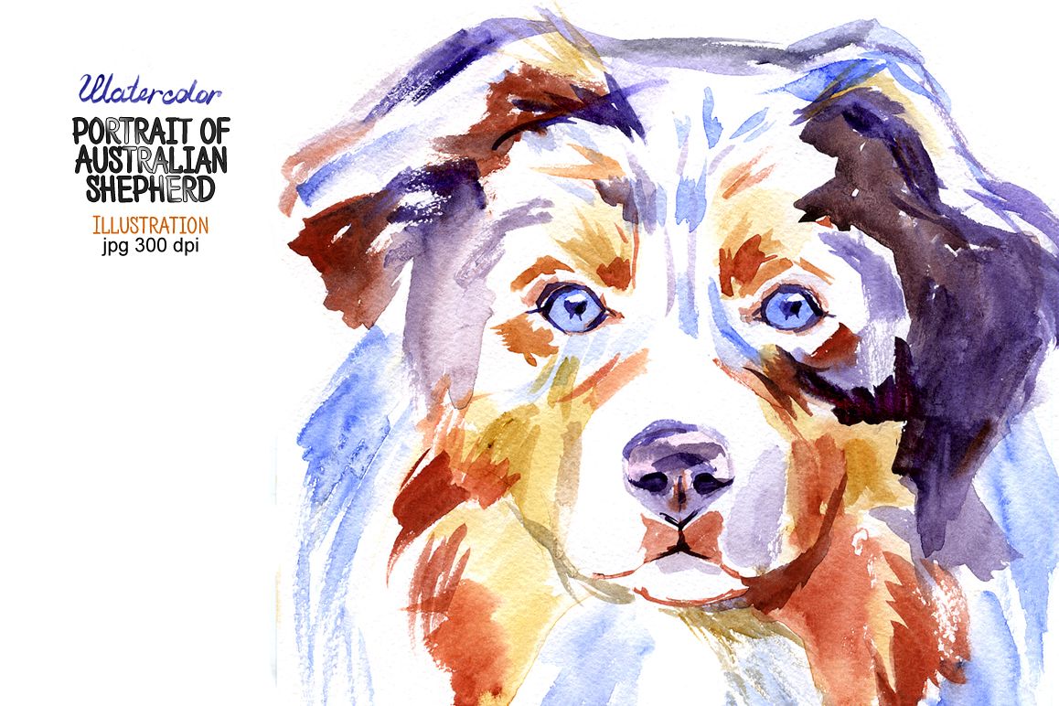 Watercolor Australian shepherd example image 1