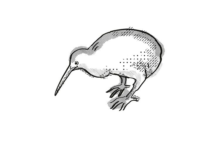 Kiwi New Zealand Bird Cartoon Retro Drawing example image 1